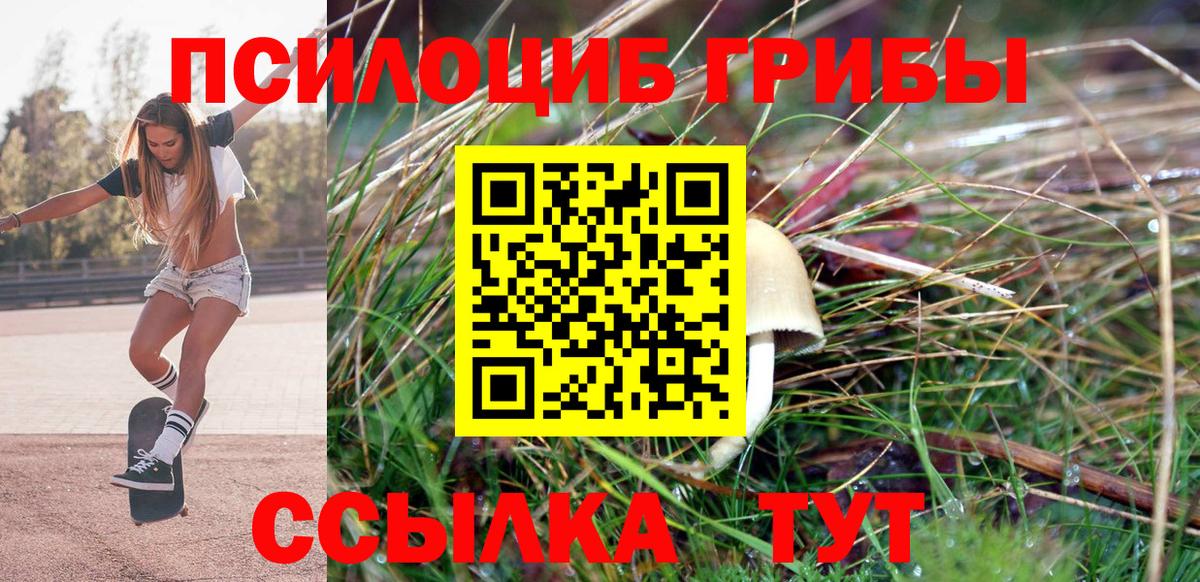 Галлюциногенные грибы ЛСД Дивногорск