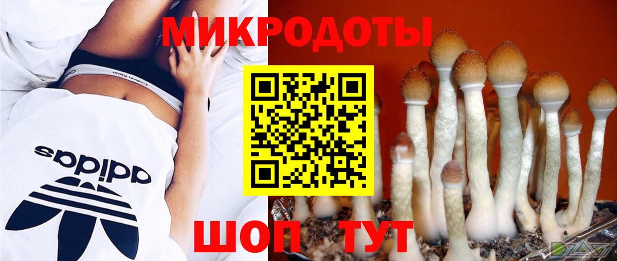 где купить наркоту  Псилоцибиновые грибы GOLDEN TEACHER  Дивногорск  Вход с VPN  Галлюциногенные грибы Magic Shrooms 